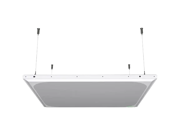 Microsoft & Zoom Devices